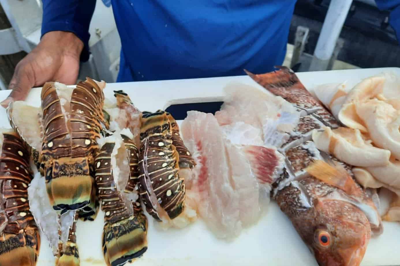 Lobster - Conch - Hog Fish - BBQ