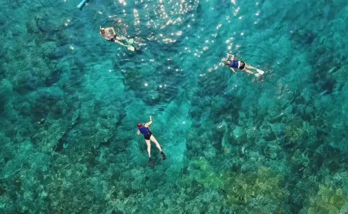 Belize Snorkling